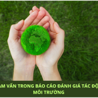 Tham vấn trong quá trình thực hiện báo cáo đánh giá tác động môi trường