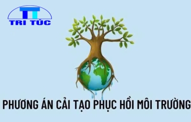 Lập hồ sơ đánh giá phương án phục hồi môi trường