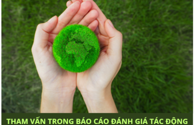 Tham vấn trong quá trình thực hiện báo cáo đánh giá tác động môi trường