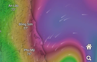 Một số hoạt động tháng 10-11 năm 2025: 